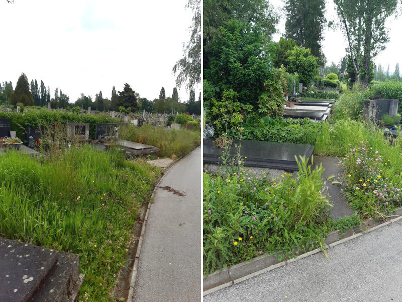 očajno stanje zapuštenosti Zagreba