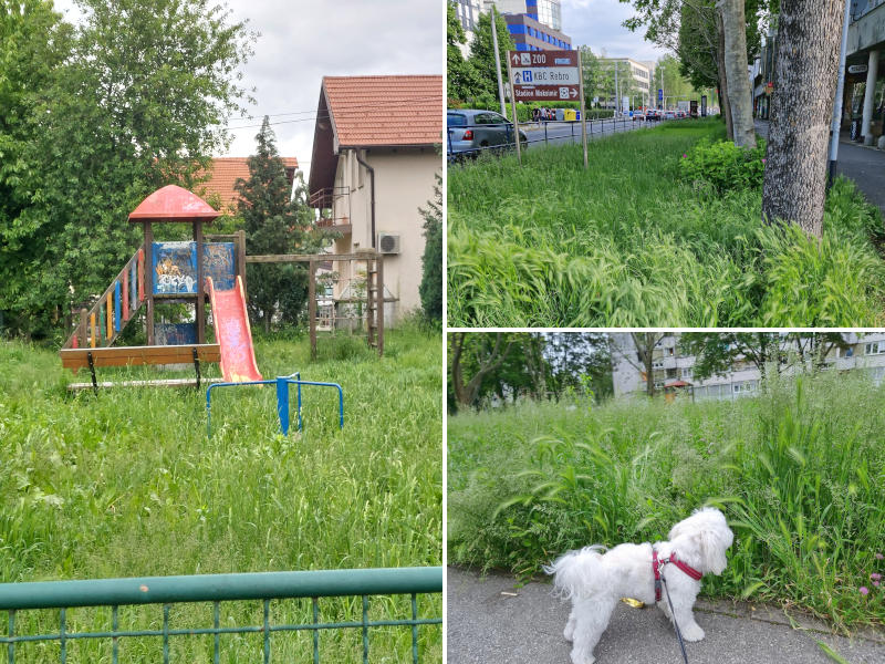 očajno stanje zapuštenosti Zagreba